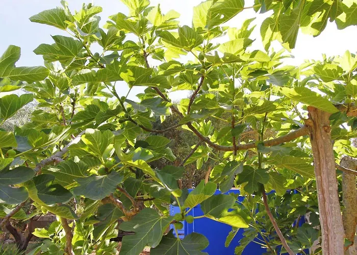 Tatil Evi Mirto House Torre Pali